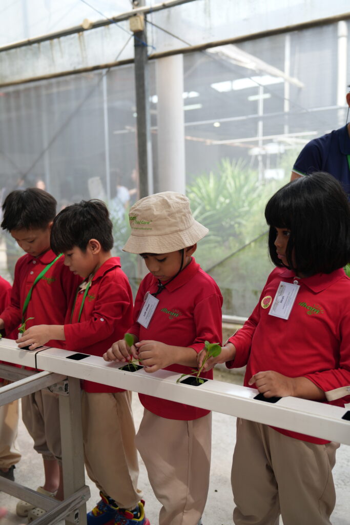 Play based preschool singapore